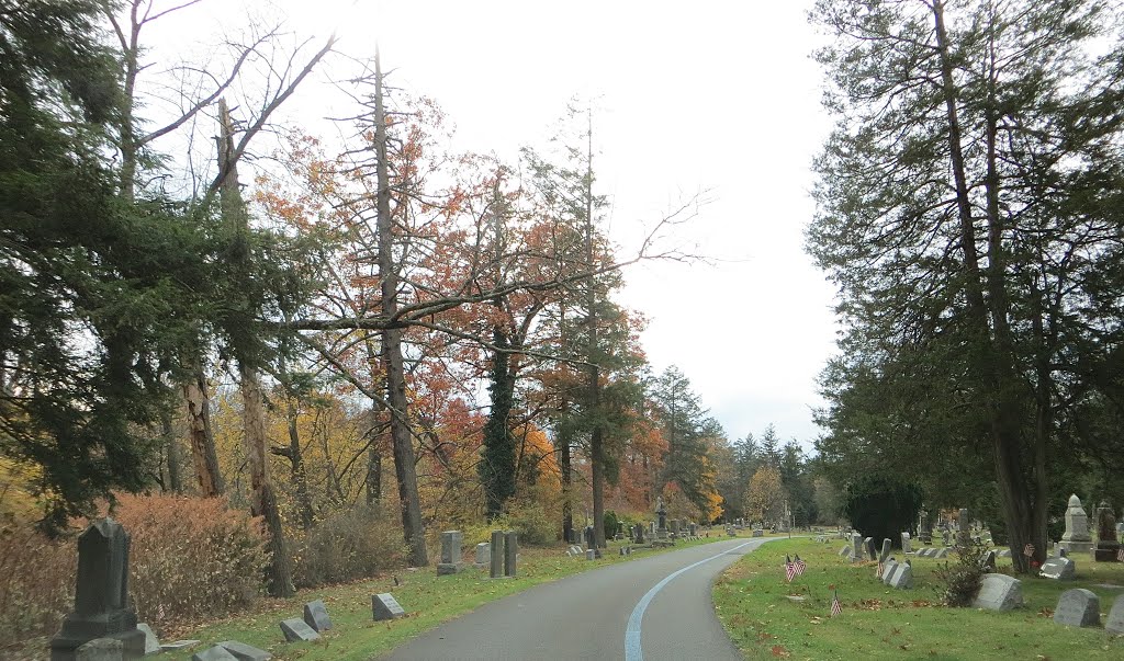 Laurel Grove Cemetery
