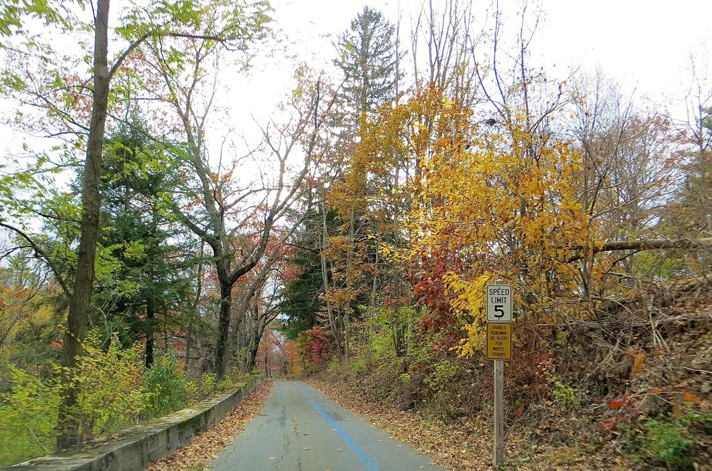 Laurel Grove Cemetery