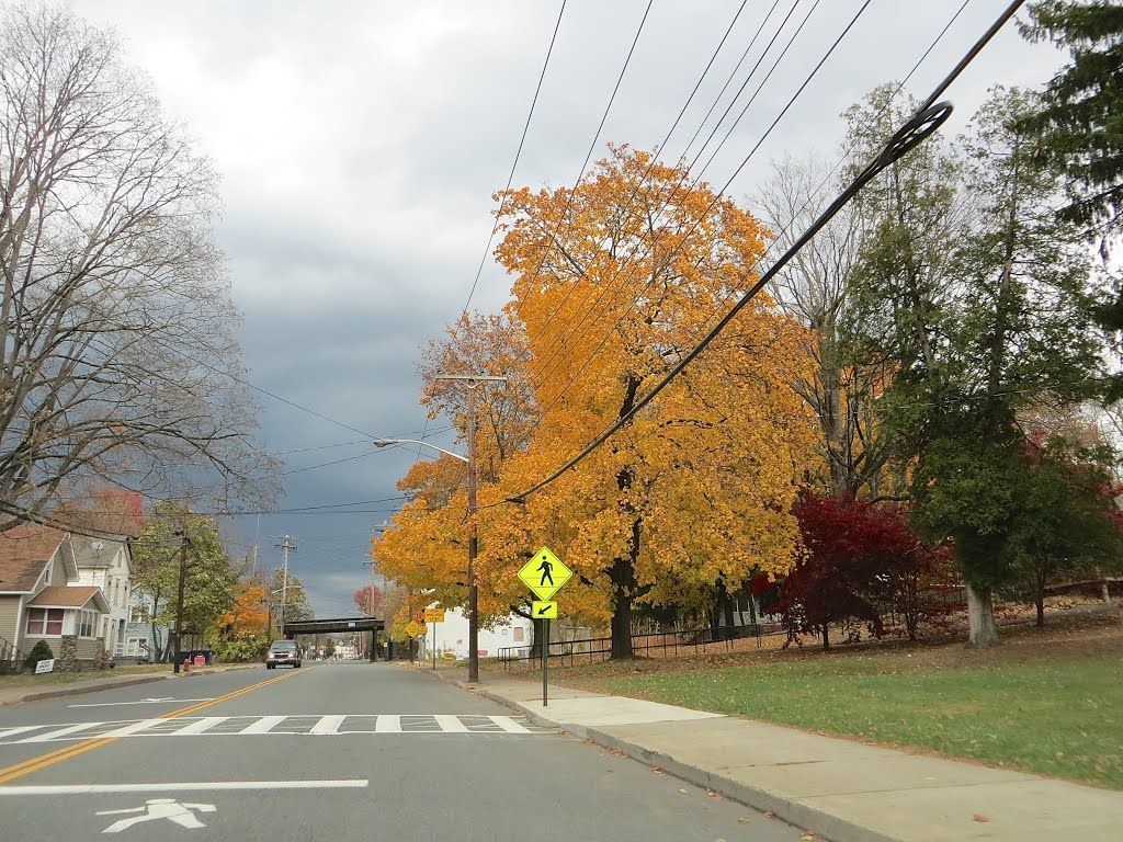 Fall in Port Jervis