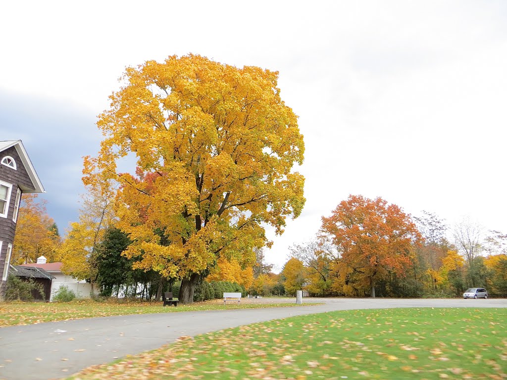 Fall in Port Jervis