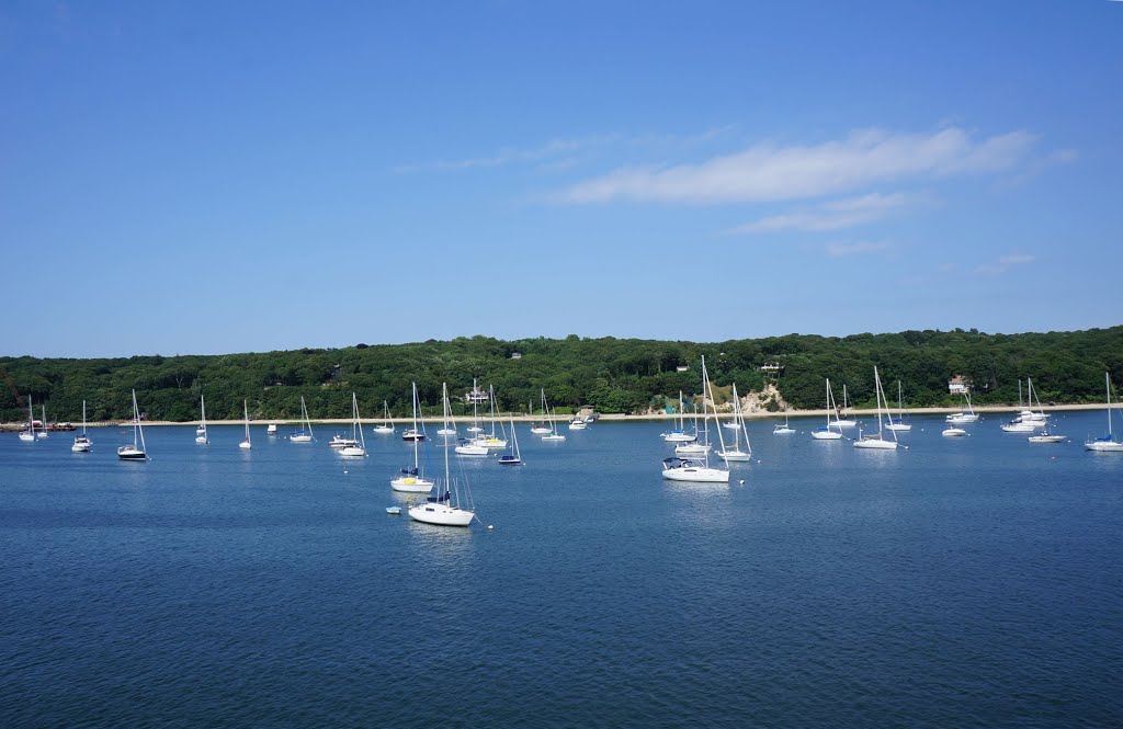 Harbour