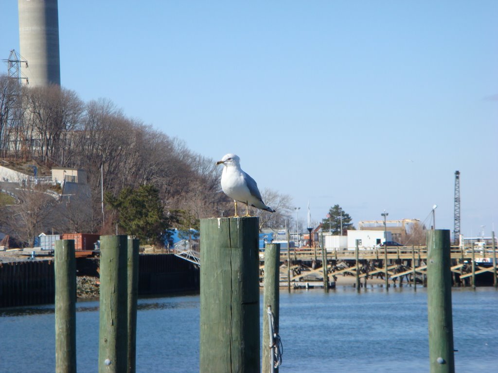 Port Jeferson, Long Island, NY