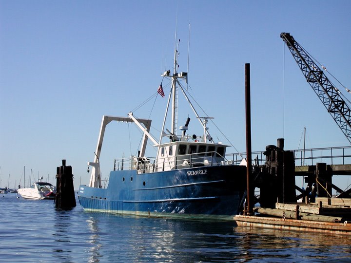 RV Seawolf
