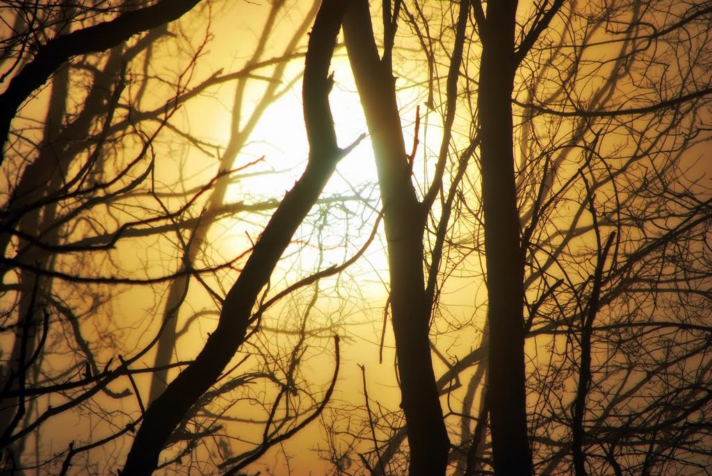 Setauket NY at Dawn