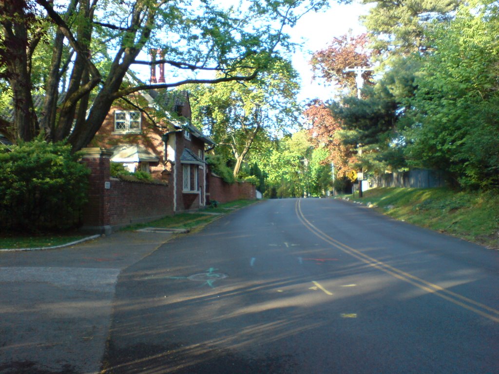 Rye, NY  country road