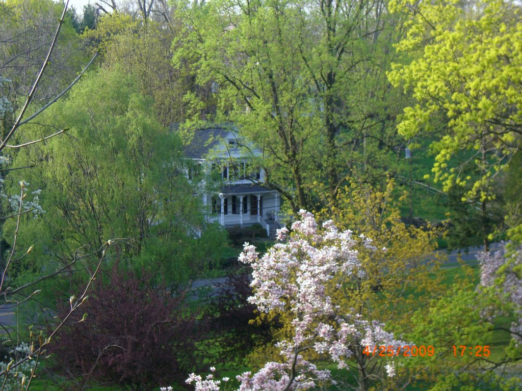 Byram Park Top of the Hill