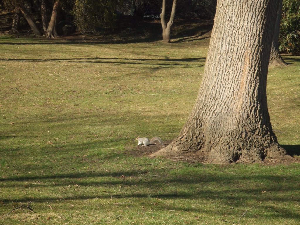 Byram Park