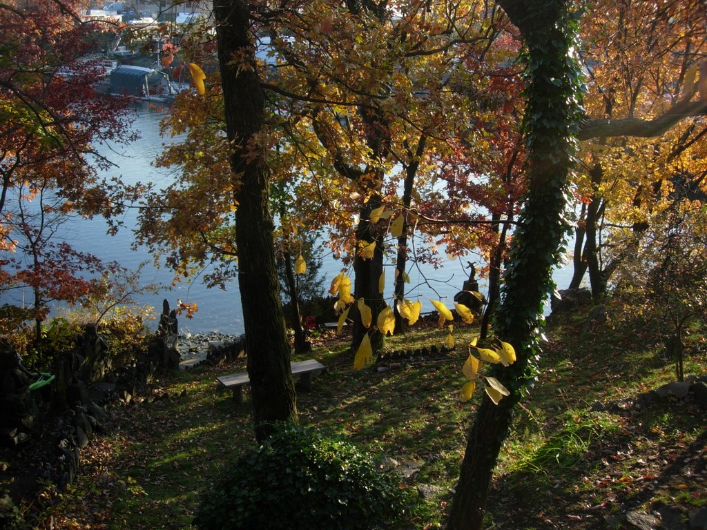 downhill to the river