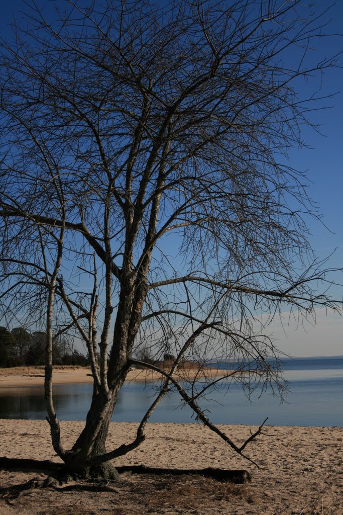 Indian Island County Park