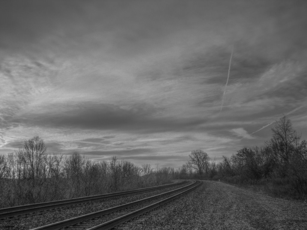 CSX Tracks - Martin St, Rome
