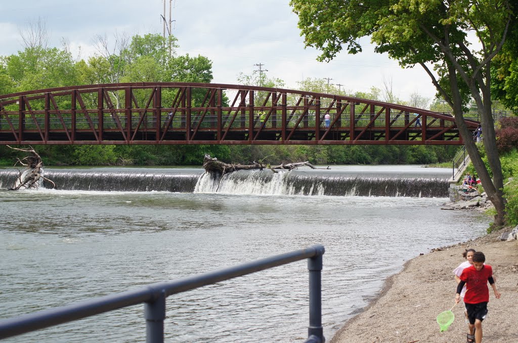Bellamy Harbor Park
