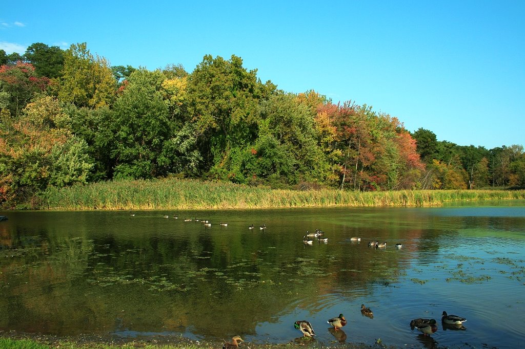 lake