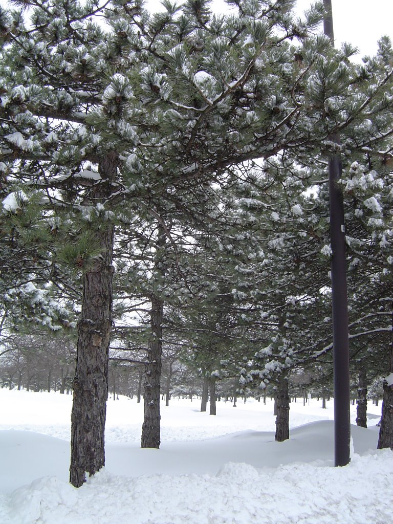 SUNY in winter