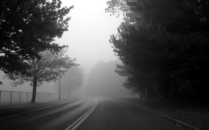 SUNY Campus Road, University at Albany-State University of New York, Albany, NY, USA