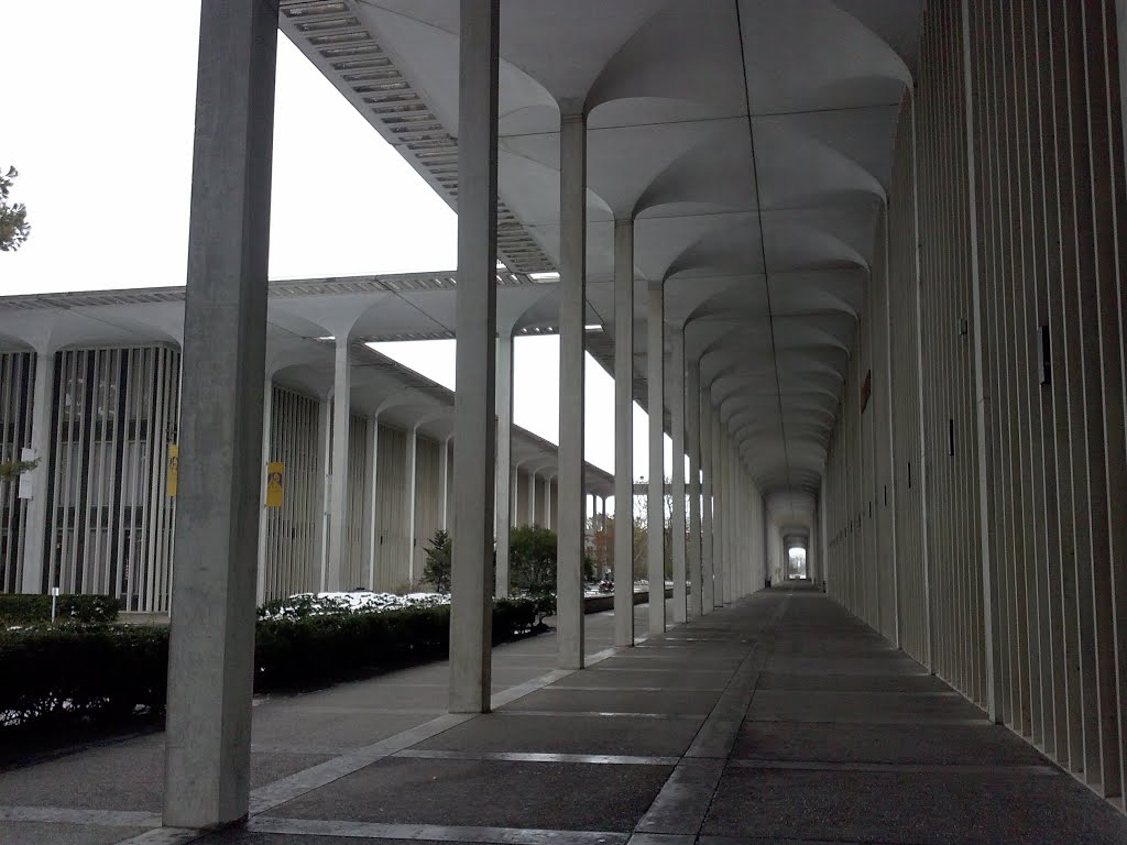 Empty UAlbany campus