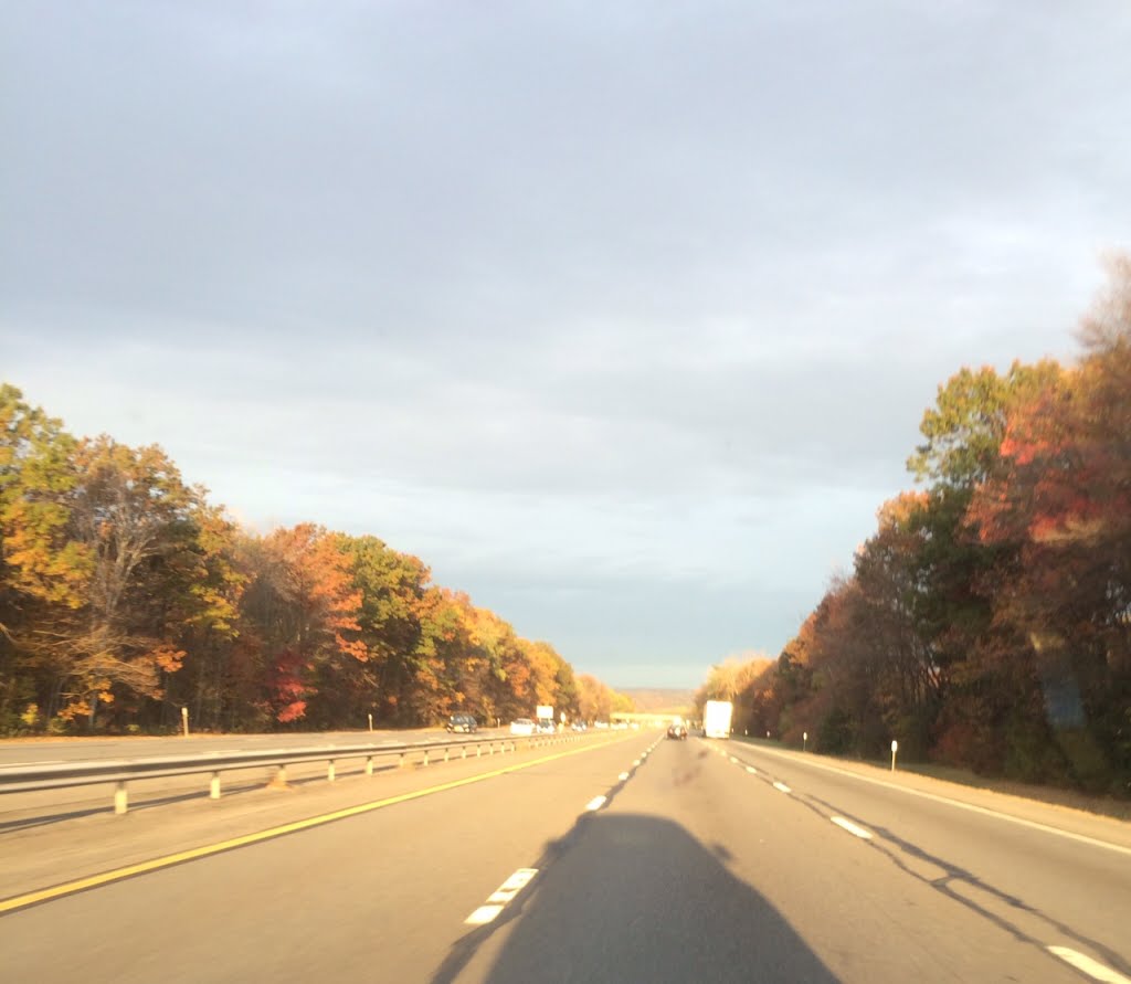 Autumn New York Thruway I90