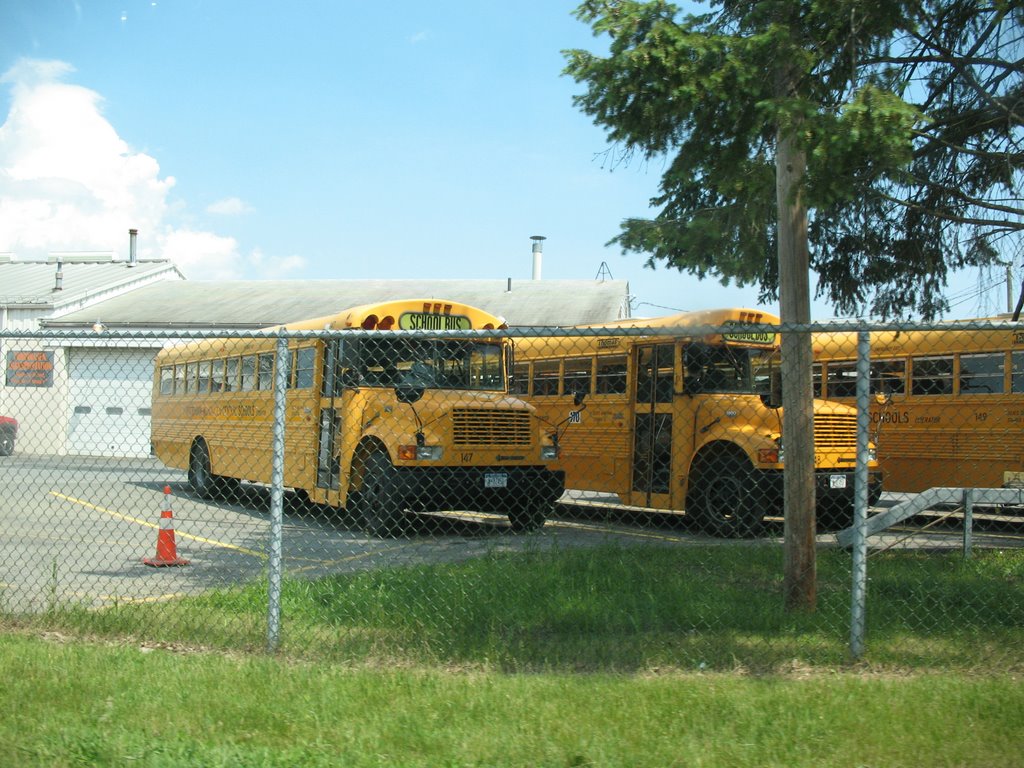 School buses on Helderberg