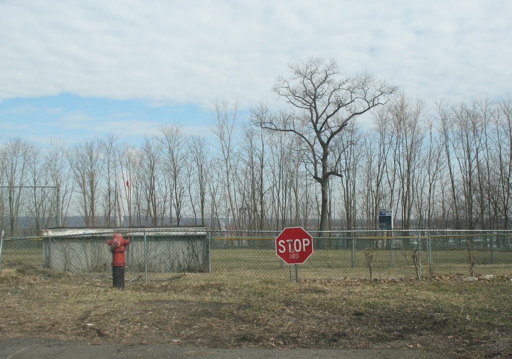 Bellevue baseball field