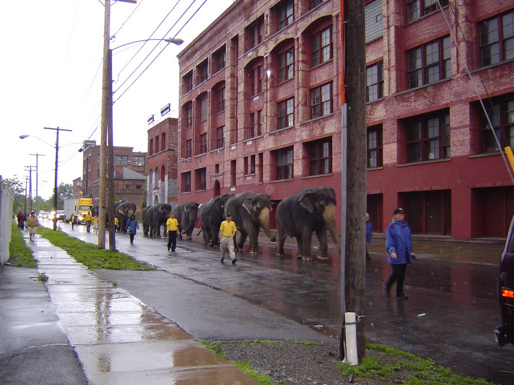 Canal Street