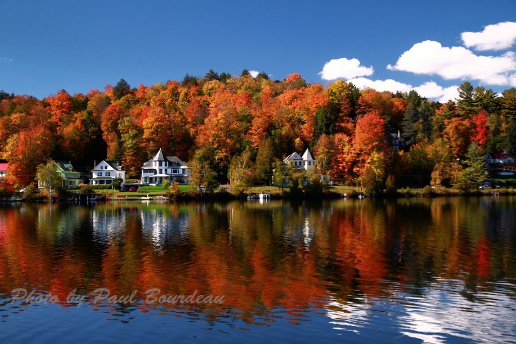 Lake Flower