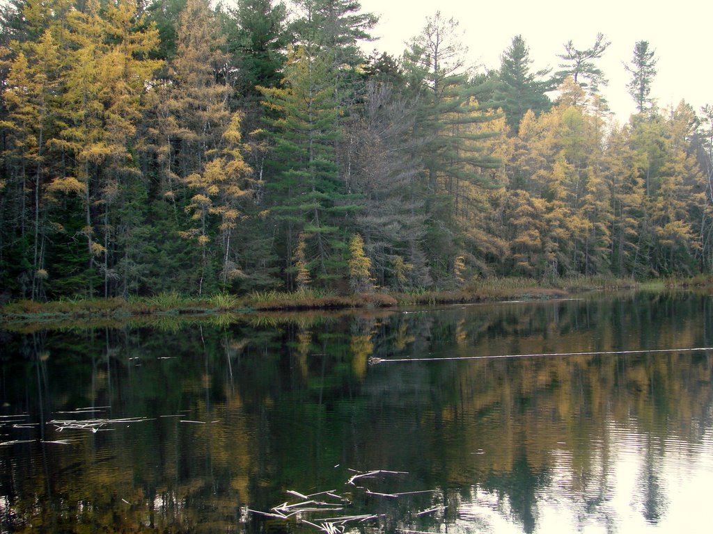 Turtle Pond, Saranac Lake, NY