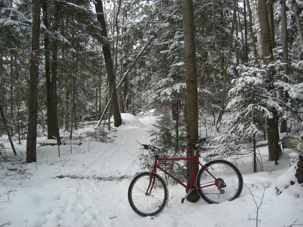 Icebiking, SLHS Trail, Christmas morning, 2009