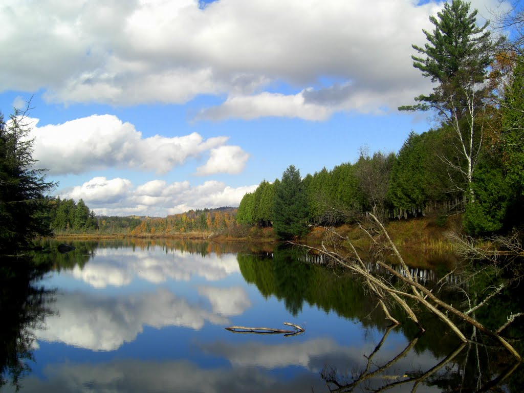 Little Lake Colby, oct 20, 2012