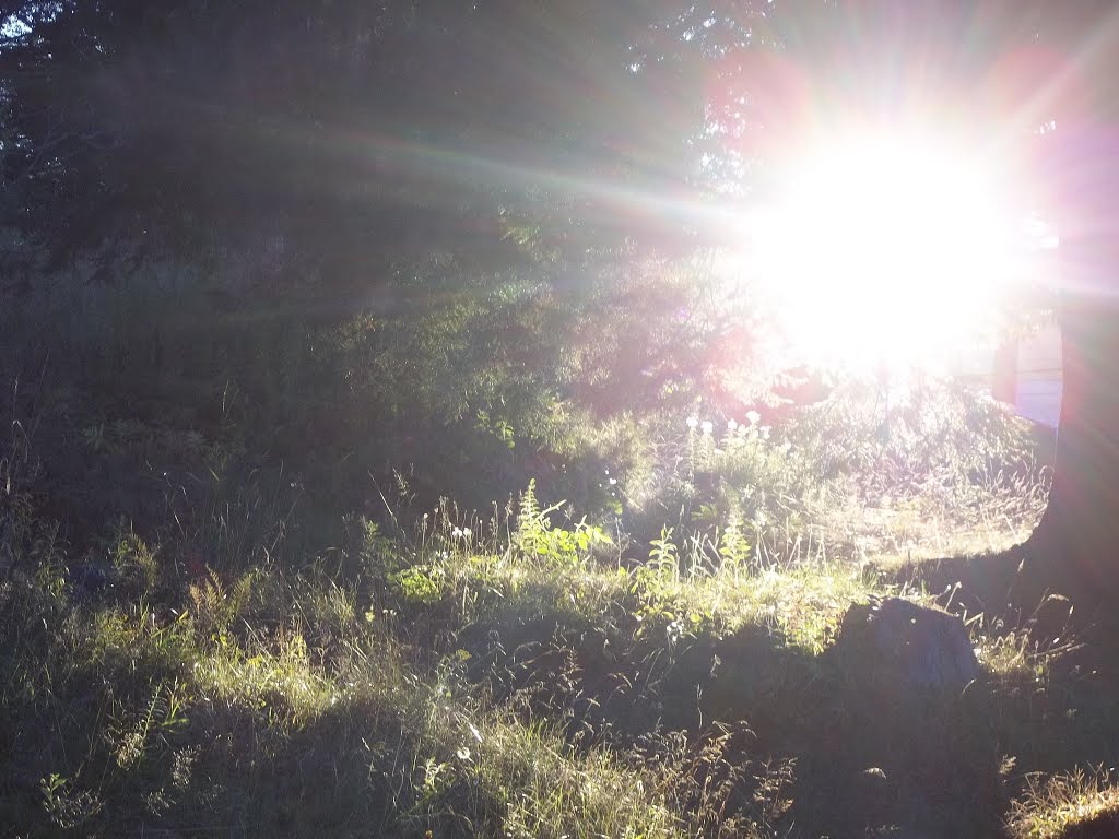 Sunshine