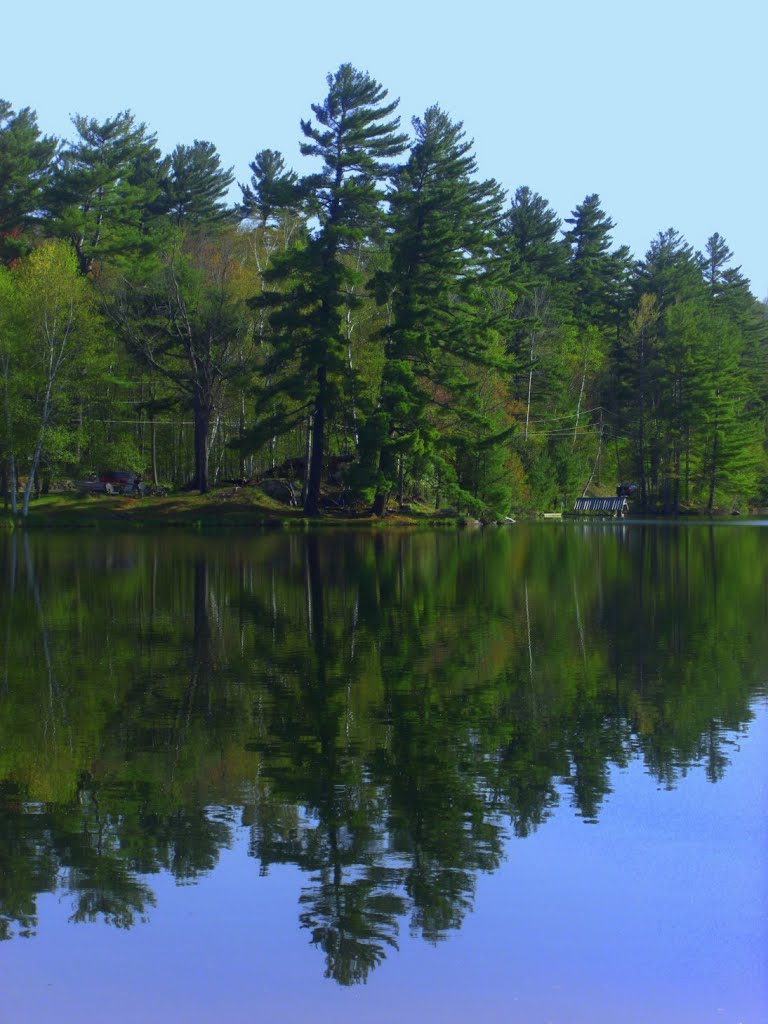 Moody Pond morning, may 14, 2013.
