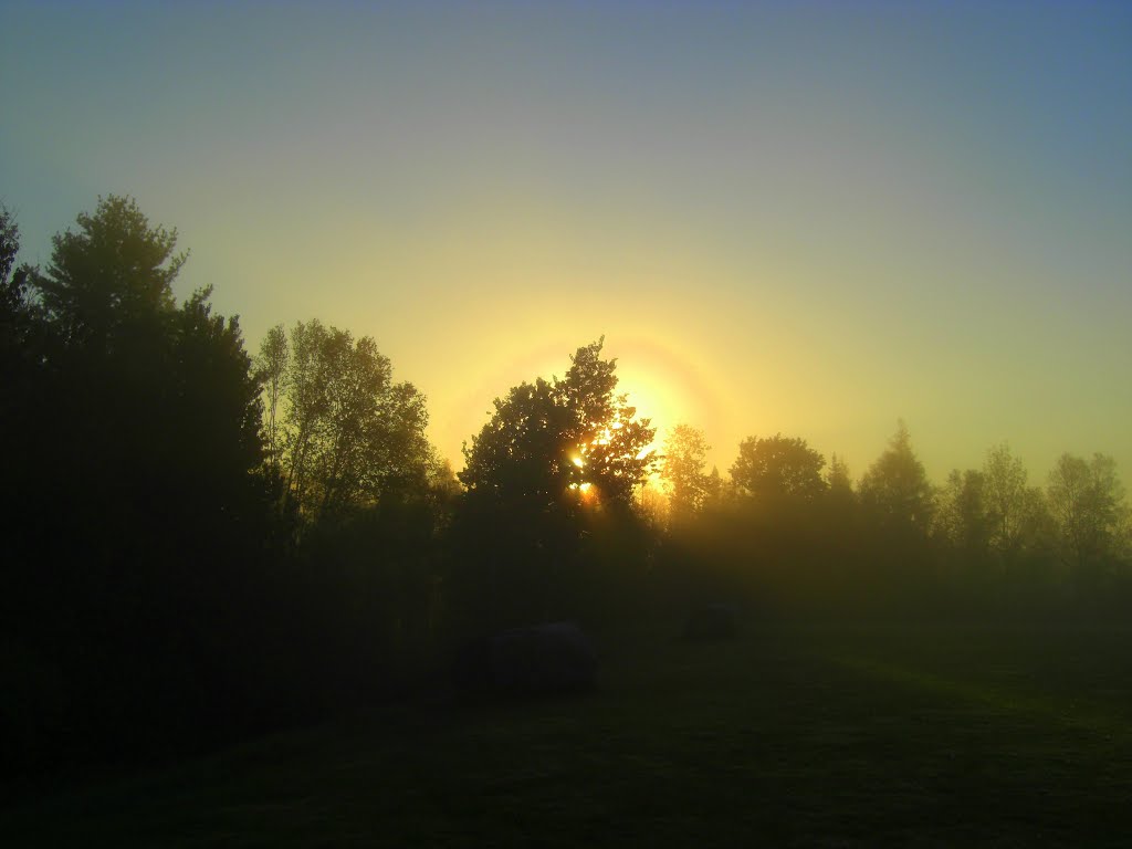 Above the High School Pond, dawn, 530am may 28, 2013.