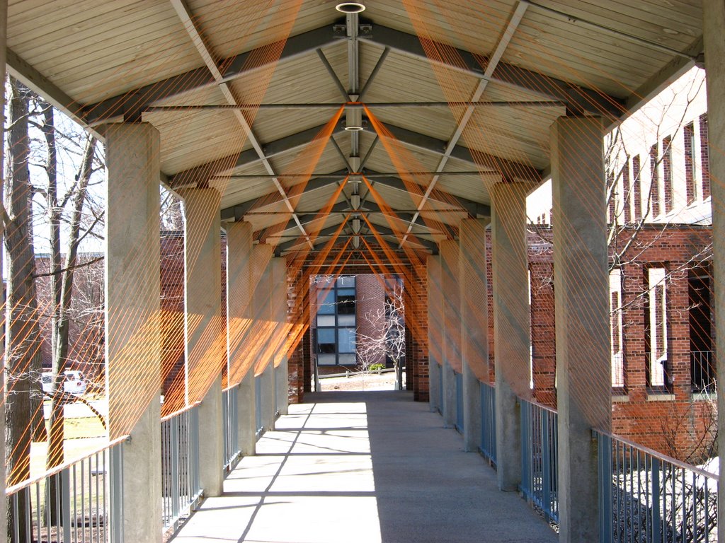 Skidmore Palamountain Hall