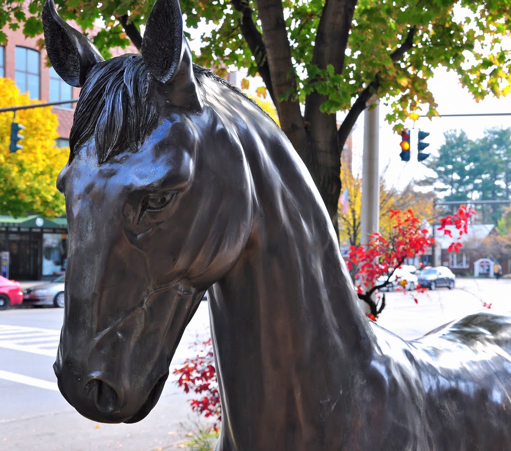 Horse Art