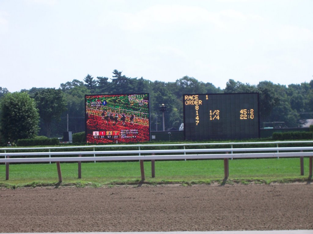 Horse Race
