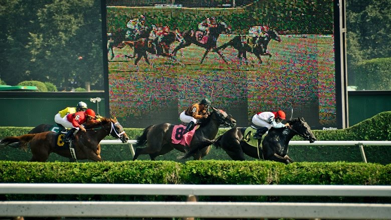 my seabiscuit