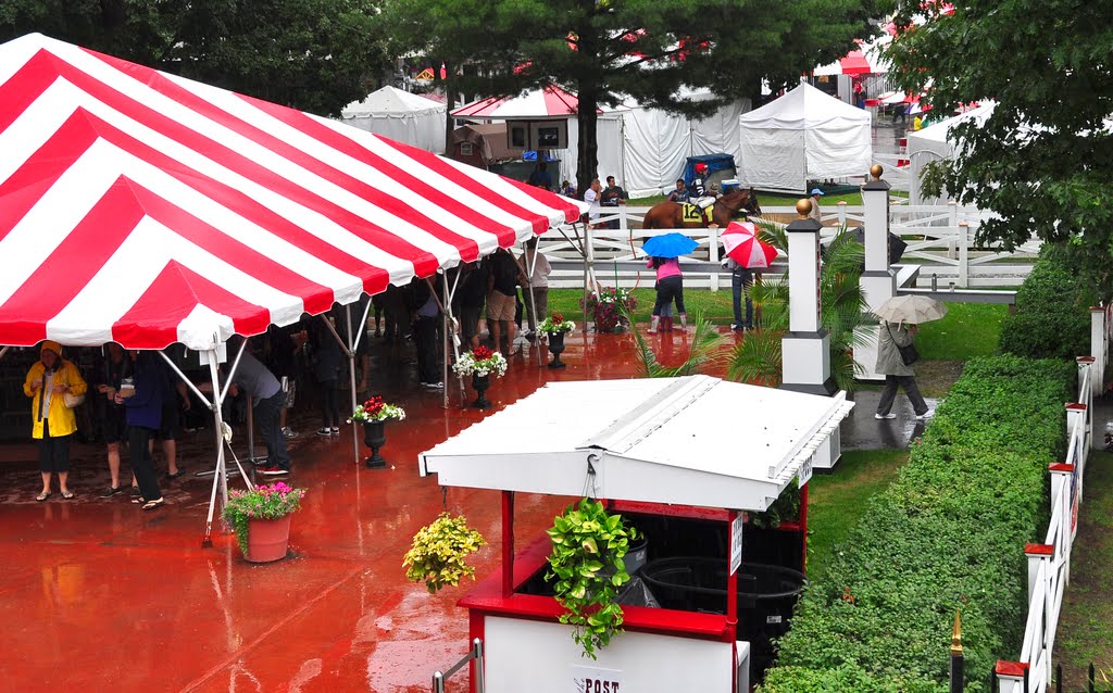 Saratoga Backyard