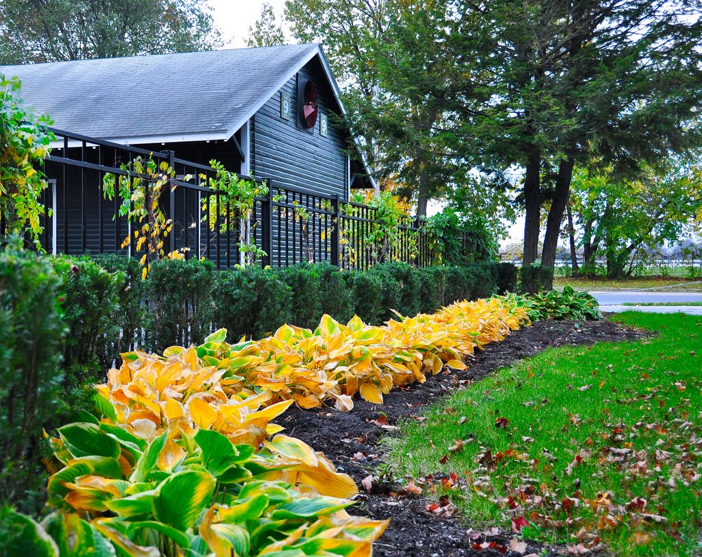 Stables at Saratoga