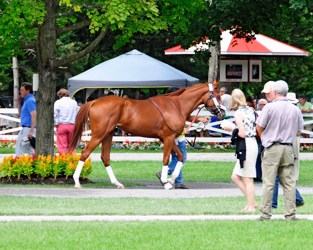 Afleet Bird