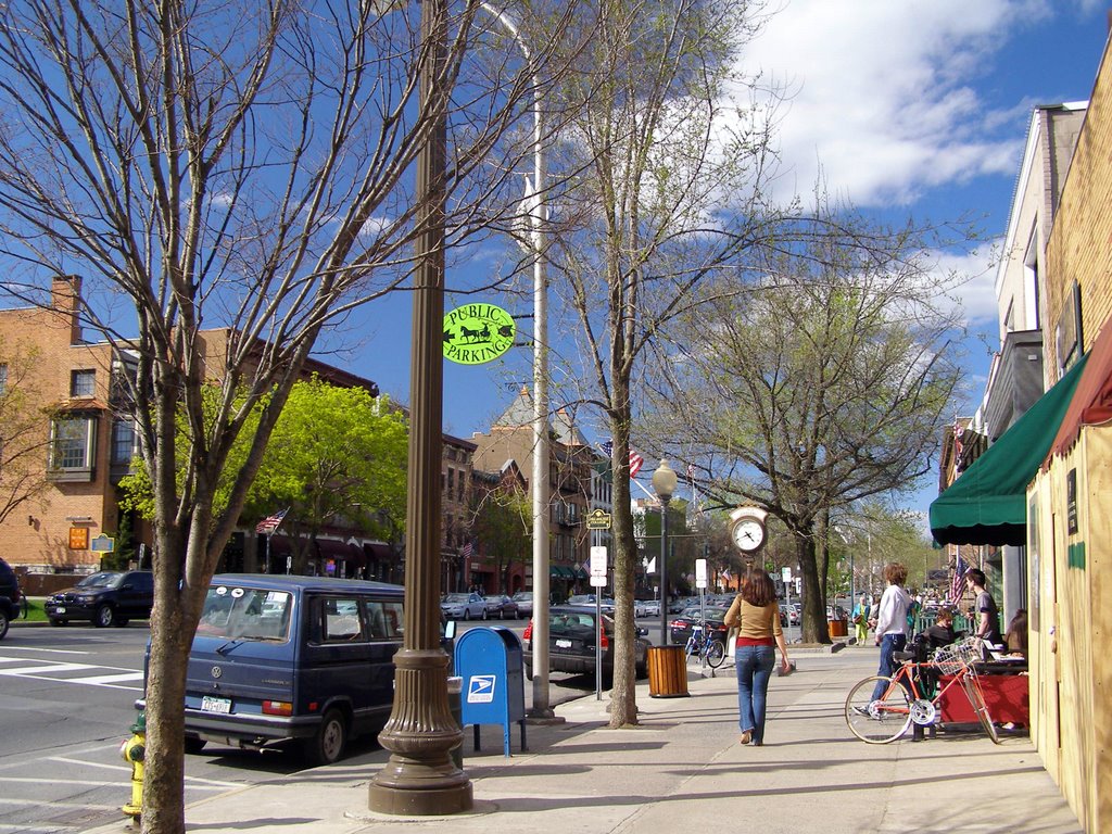 Saratoga in spring