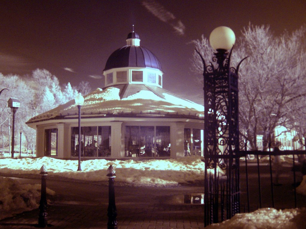 Congress park carousel