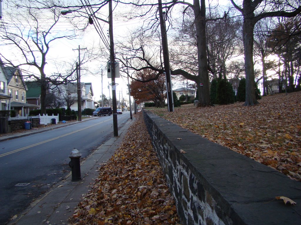 Fingerboard Rd., Staten Island