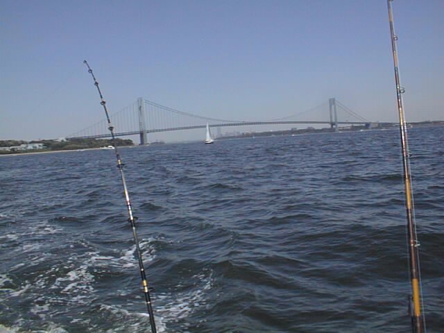 Verrazano bridge