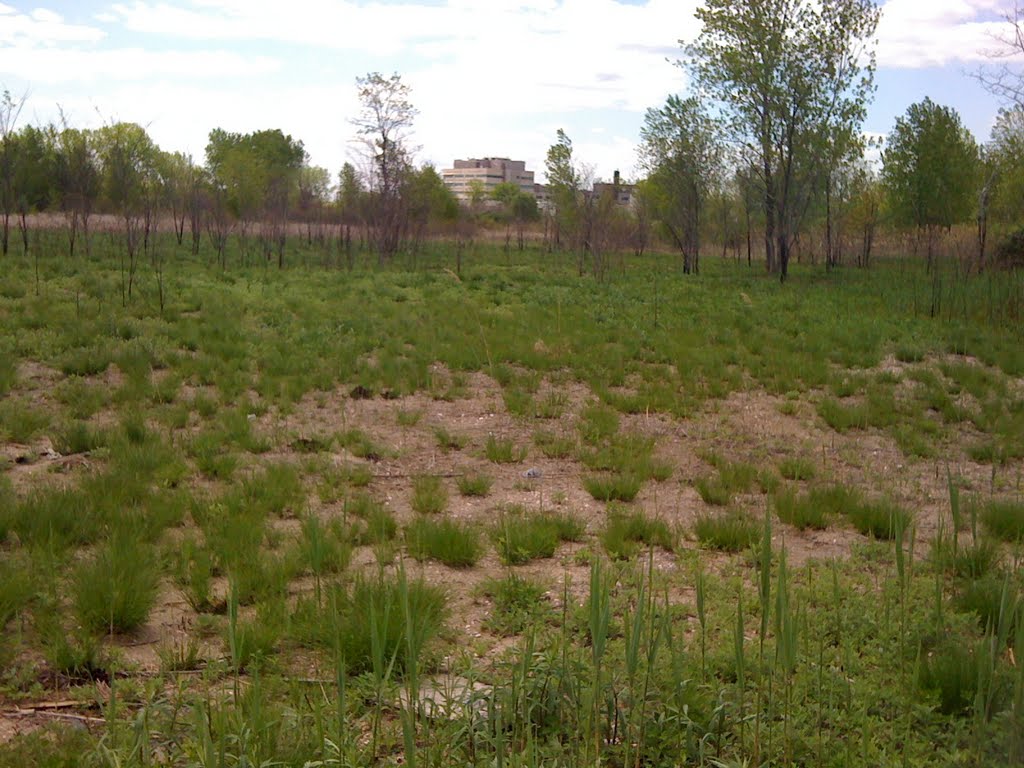 Behind Hospital