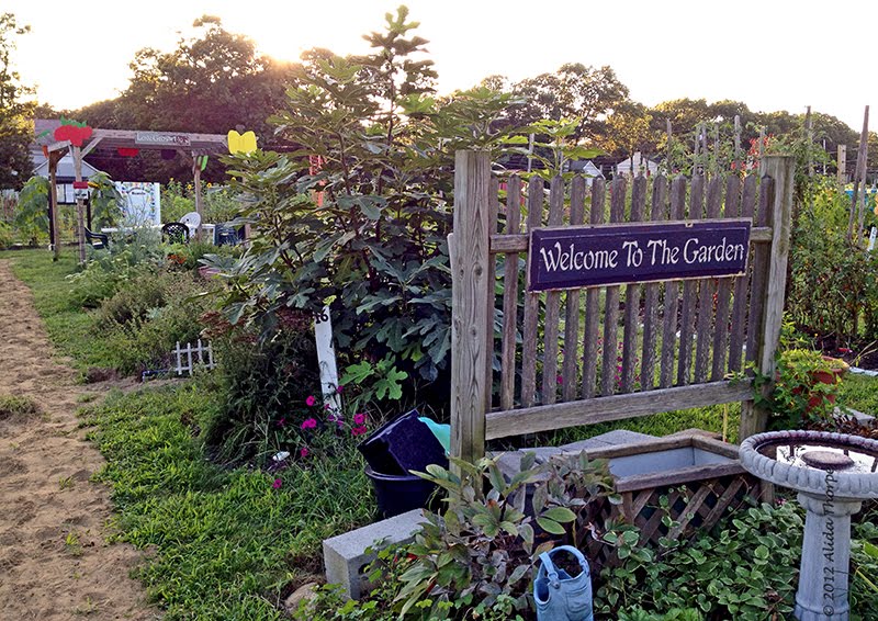 Hobbs Farm