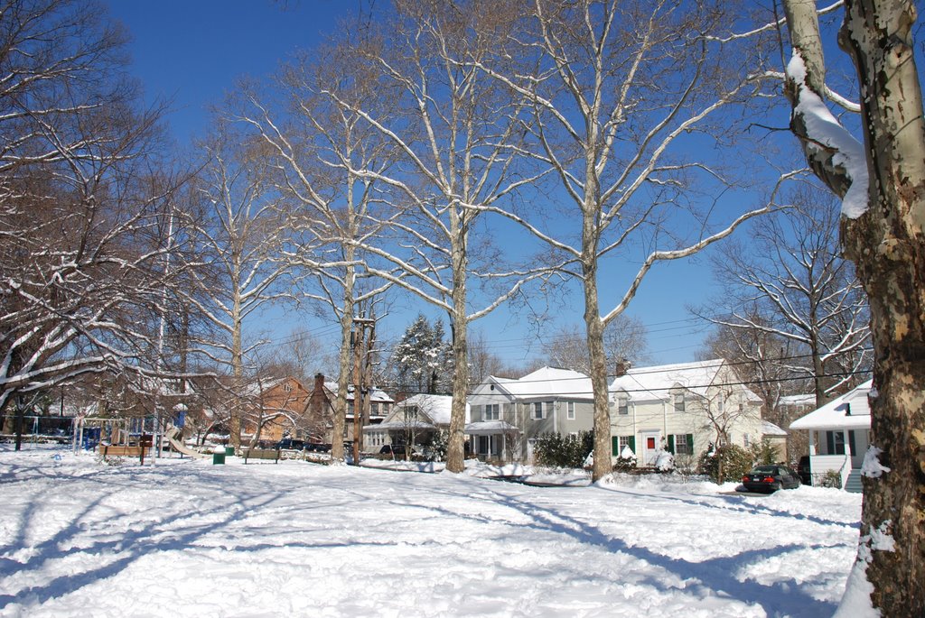 Davis Park - Winter season