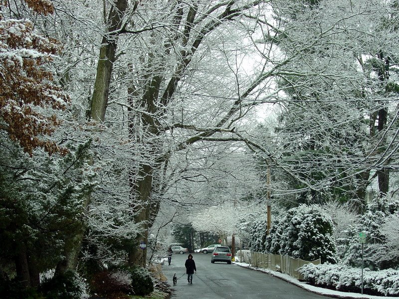 Beautiful March Day in Scarsdale, New York