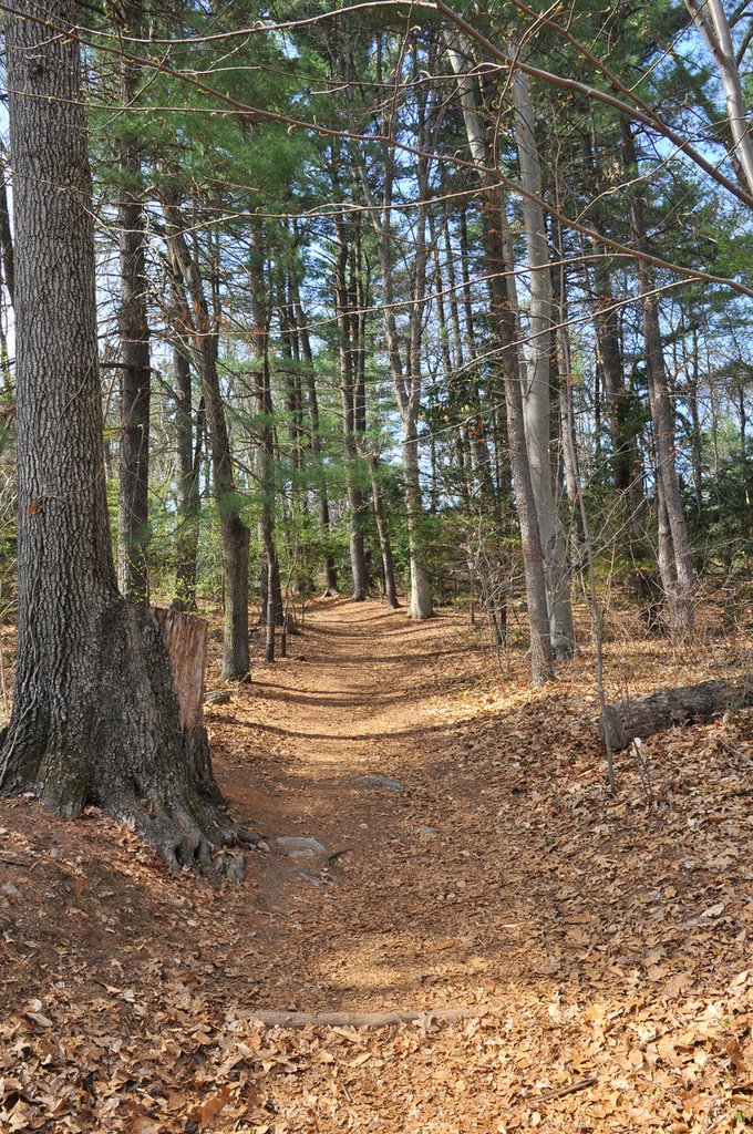 Greenburg Nature Center