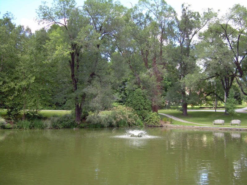 Audrey Hochberg Pond Preserve