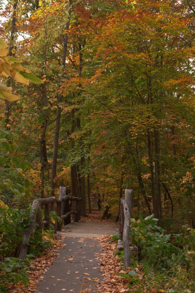 Bronx River Trail