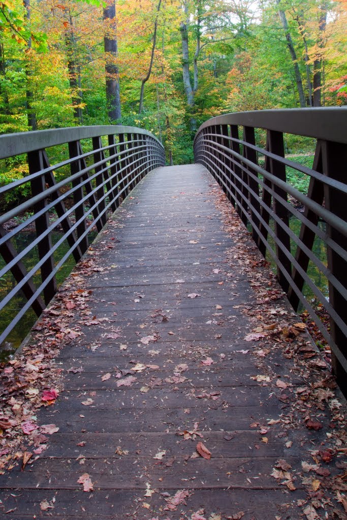 Pedestrian Bridge