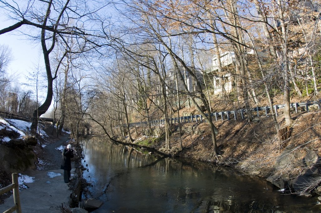 Bronx River at Scarsdale